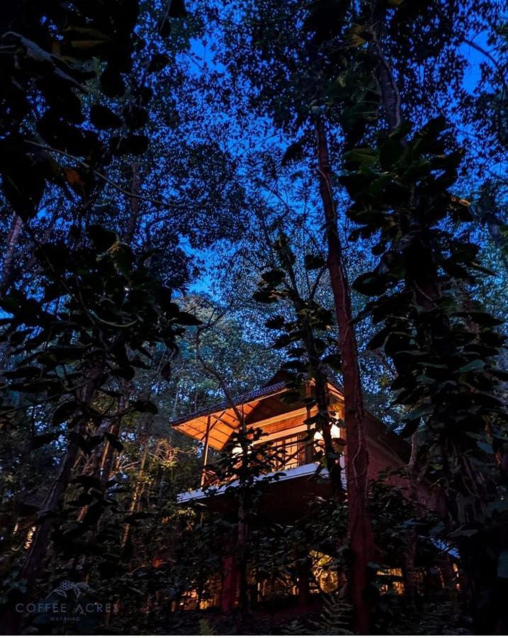 Coffee Acres Resort Kalpetta Exterior foto