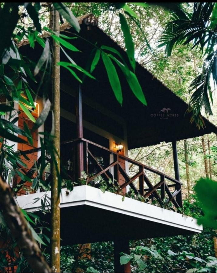 Coffee Acres Resort Kalpetta Exterior foto