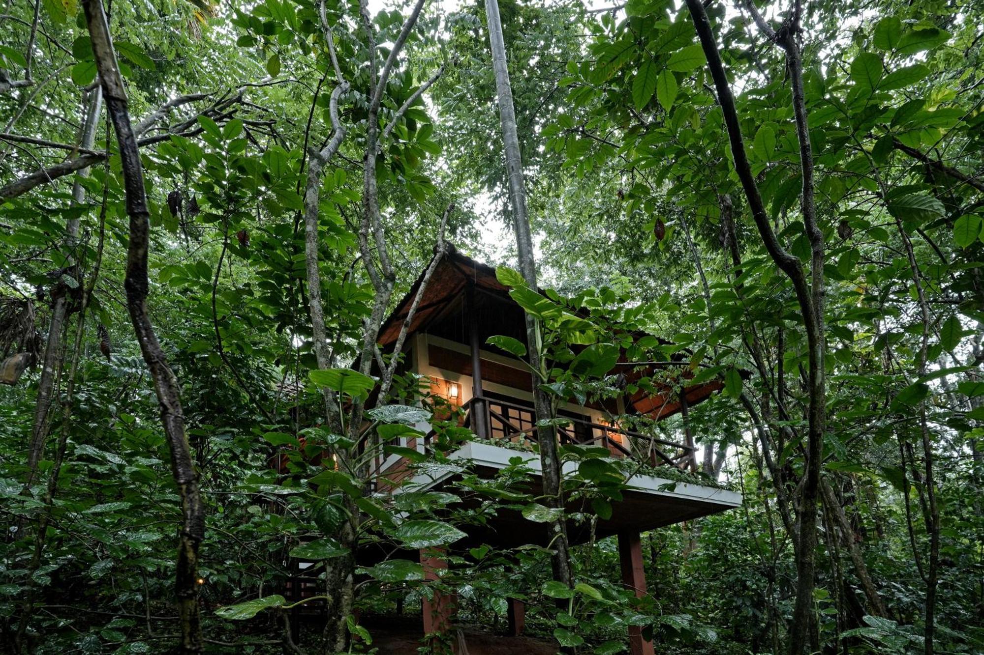 Coffee Acres Resort Kalpetta Exterior foto