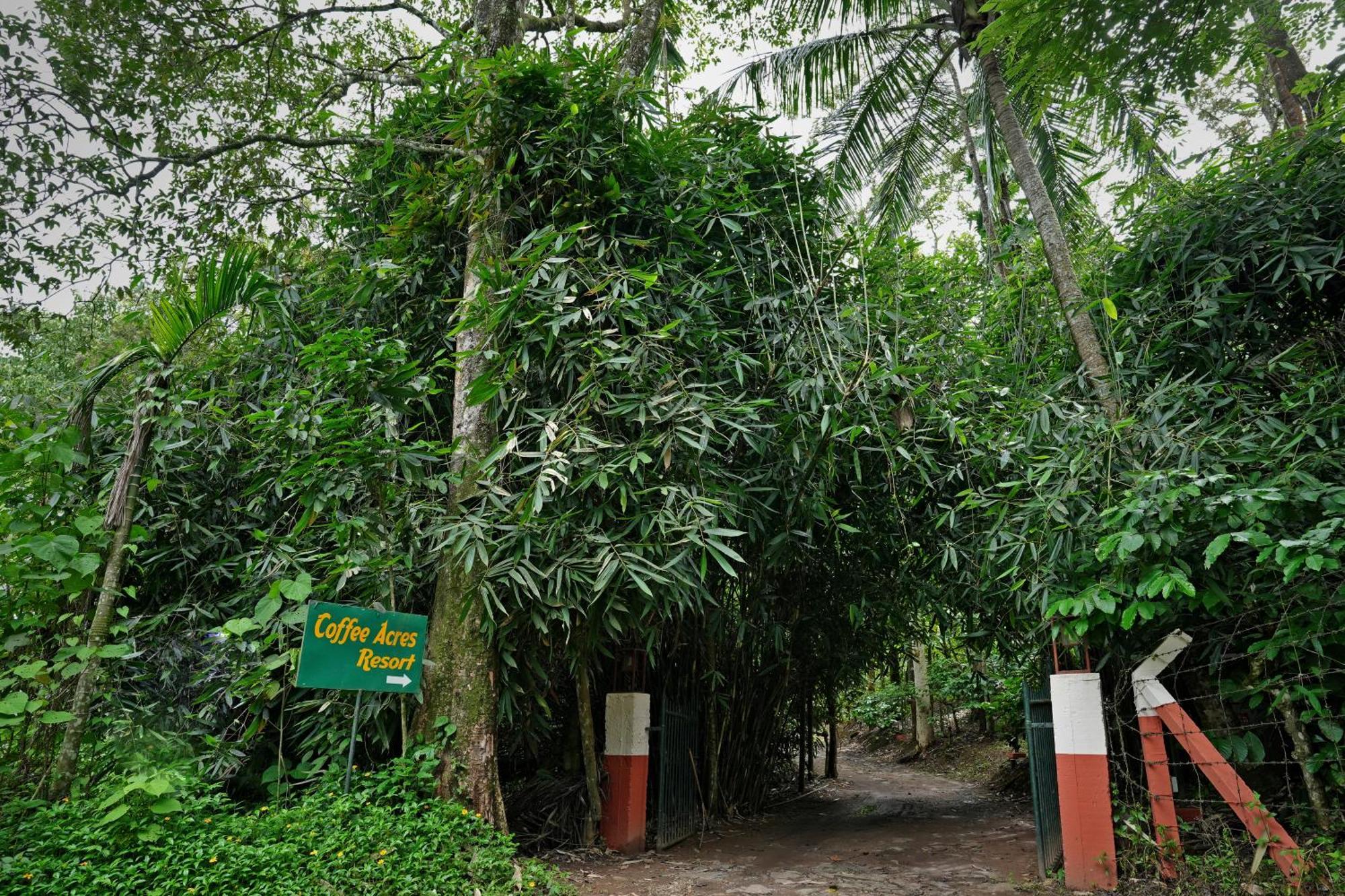 Coffee Acres Resort Kalpetta Exterior foto